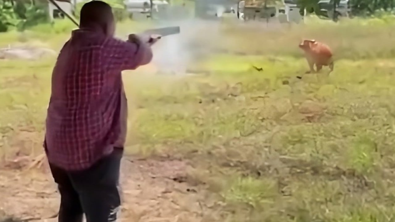 pemimpin Malaysia tembak sapi saat Idul Adha